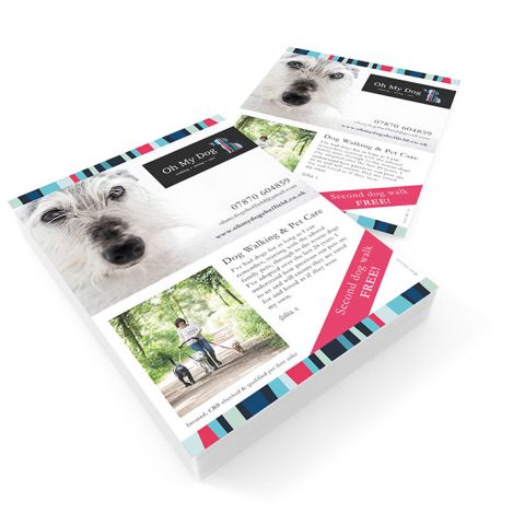 Oh My Dog leaflet